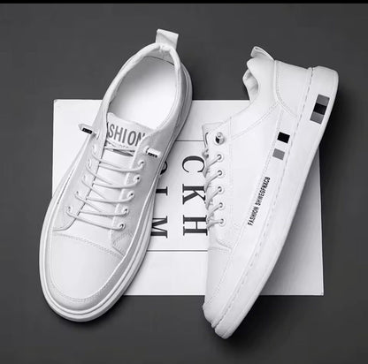 gid://shopify/MediaImage/25707778211910